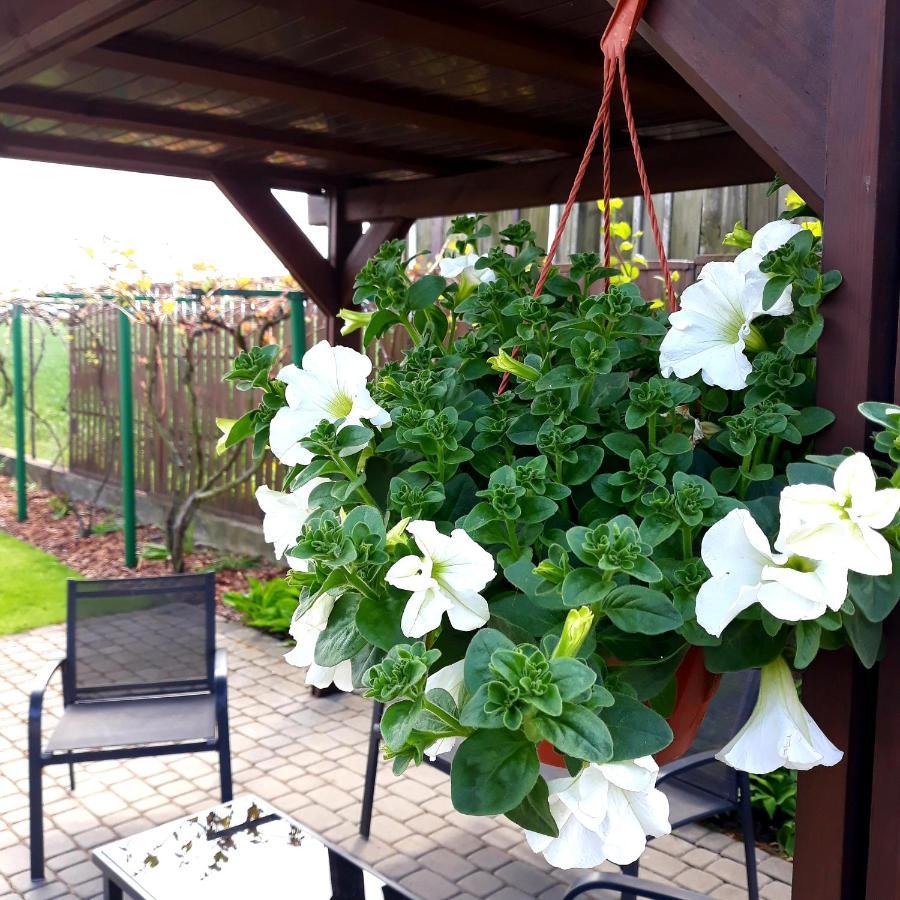 Villa Zielone Zacisze Uniejow Esterno foto