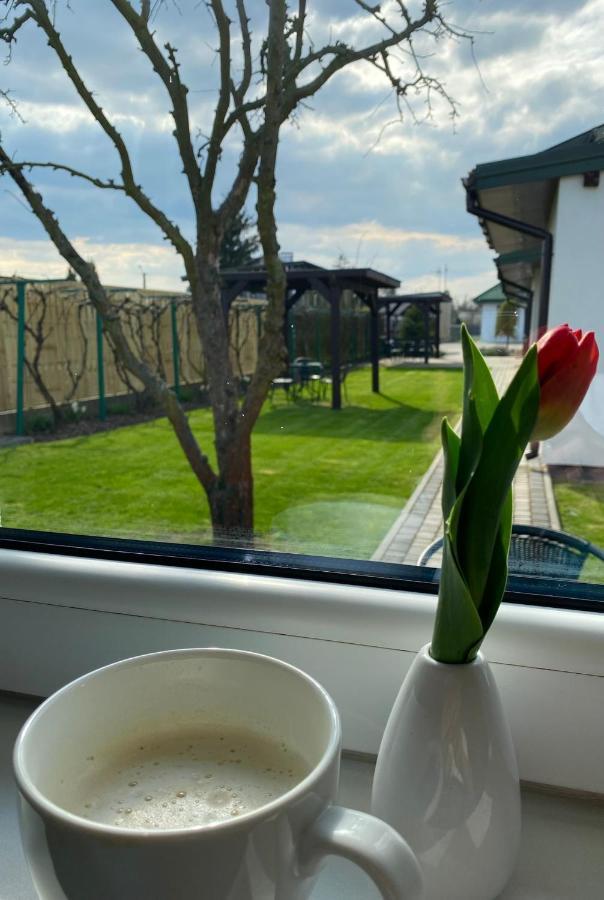 Villa Zielone Zacisze Uniejow Esterno foto