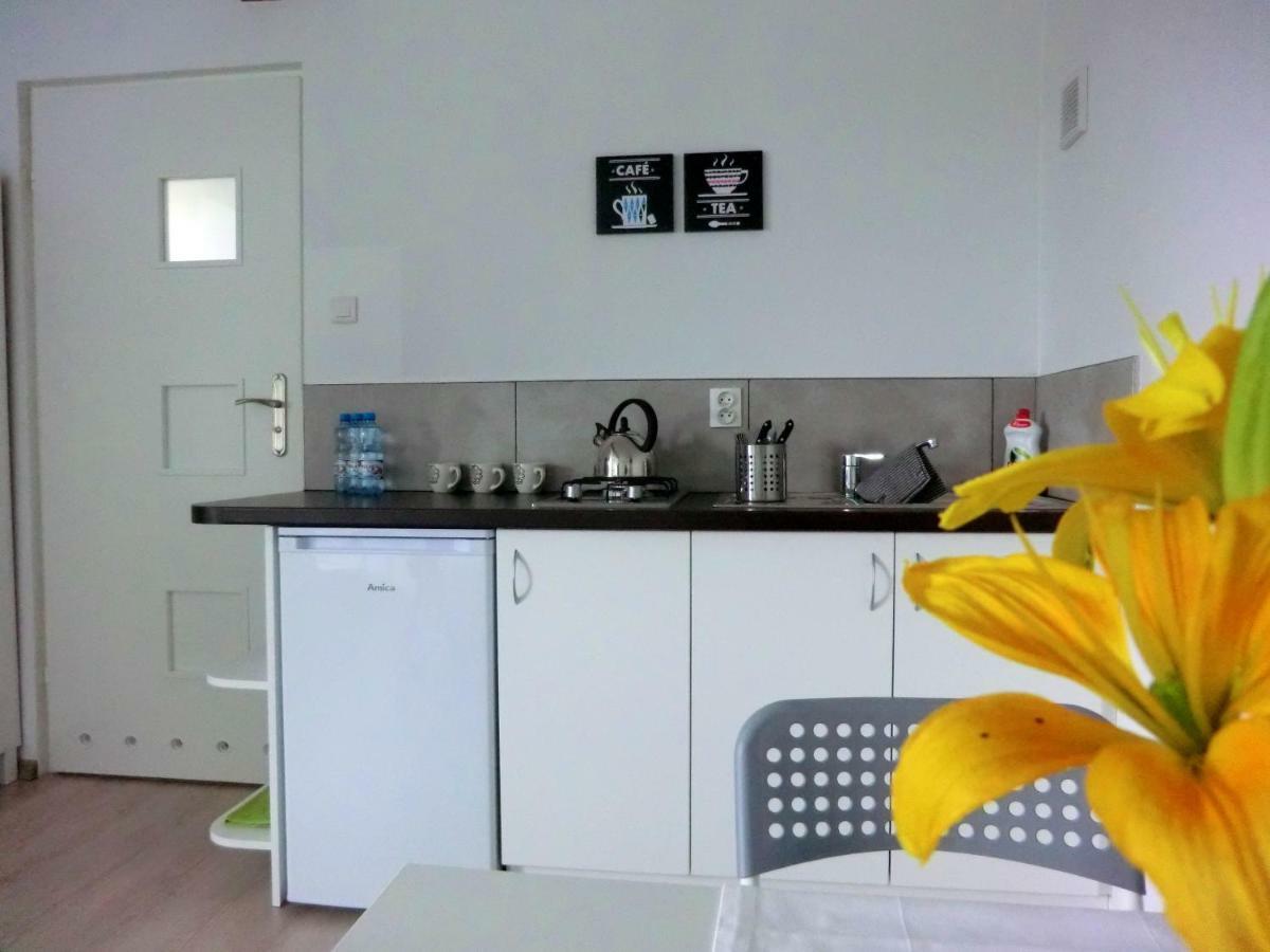 Villa Zielone Zacisze Uniejow Esterno foto