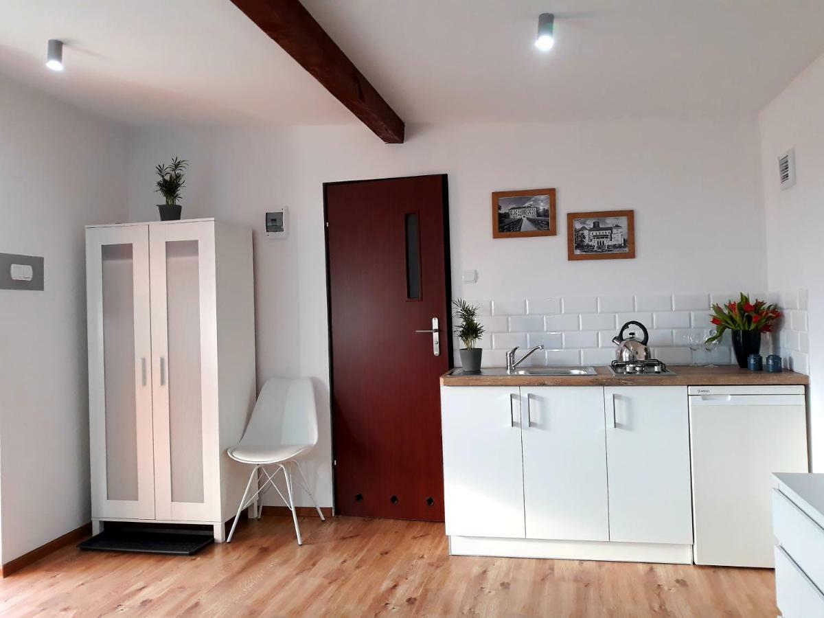 Villa Zielone Zacisze Uniejow Esterno foto