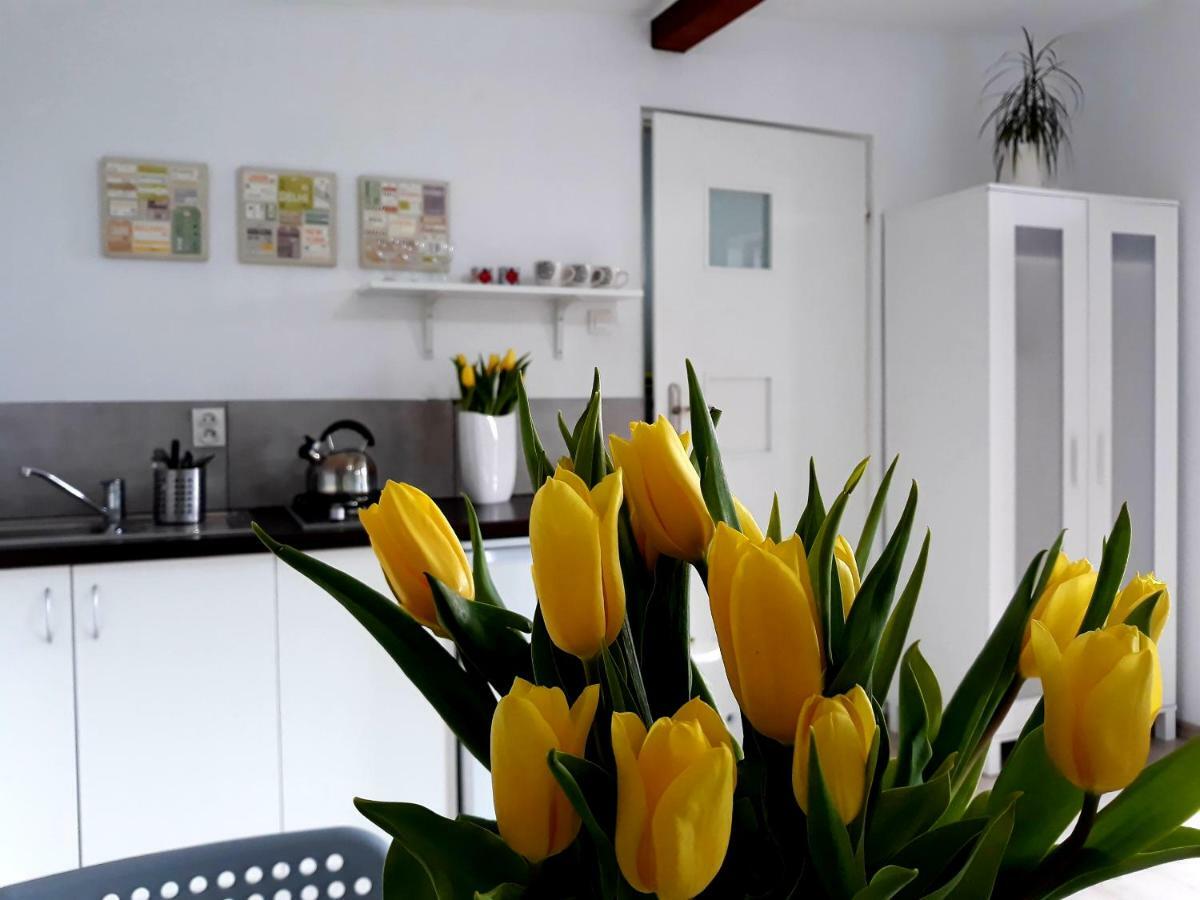 Villa Zielone Zacisze Uniejow Esterno foto