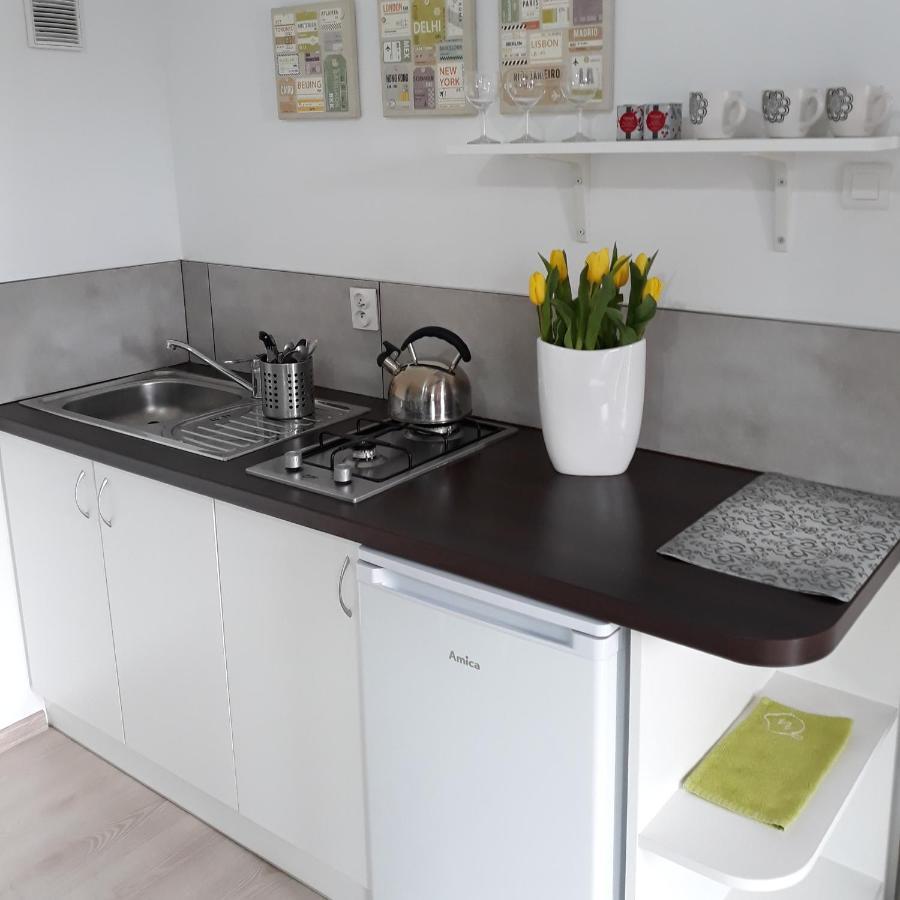 Villa Zielone Zacisze Uniejow Esterno foto